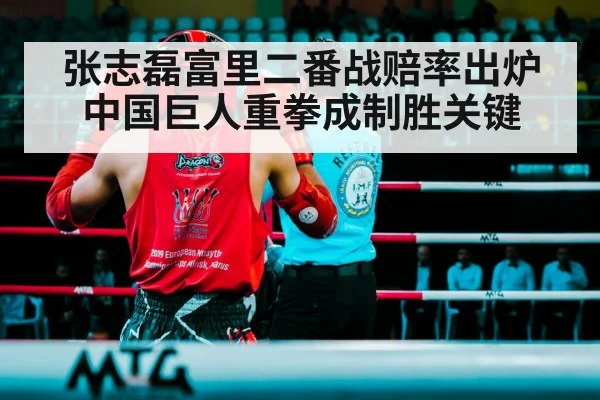 boxing ring fight